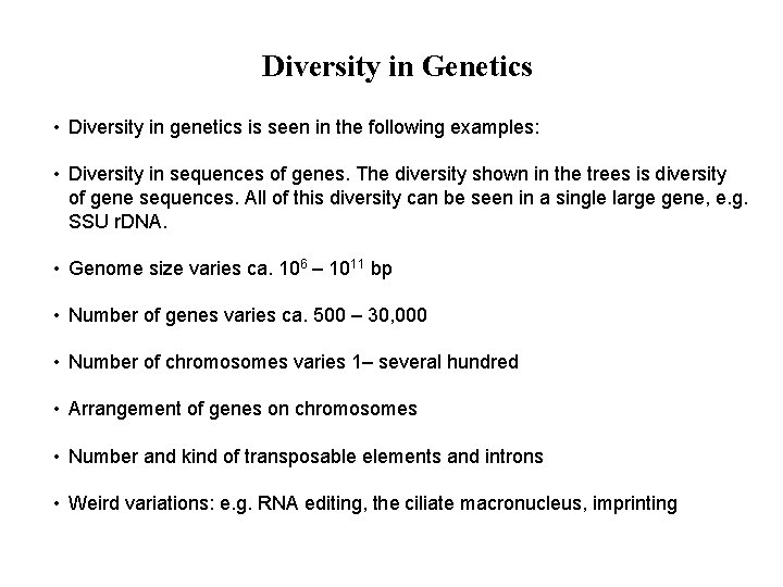 Diversity in Genetics • Diversity in genetics is seen in the following examples: •