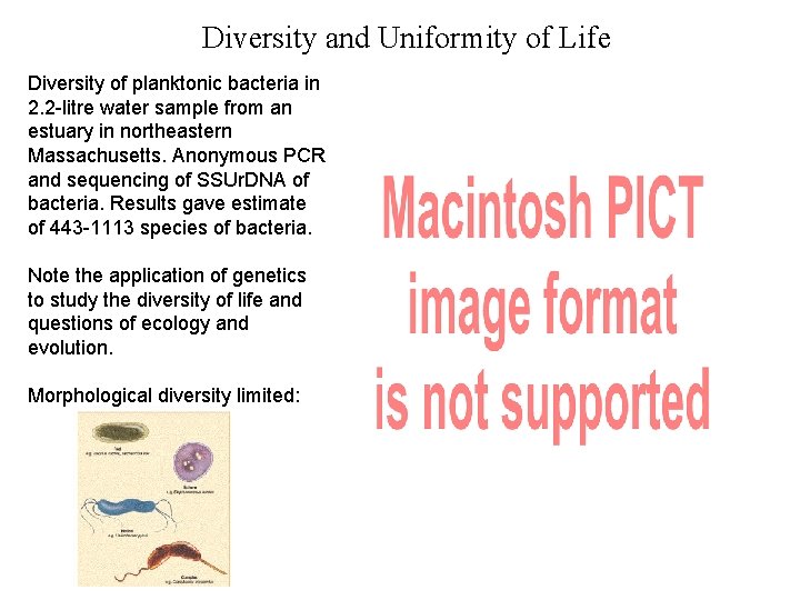 Diversity and Uniformity of Life Diversity of planktonic bacteria in 2. 2 -litre water