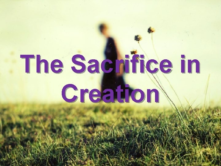 The Sacrifice in Creation 