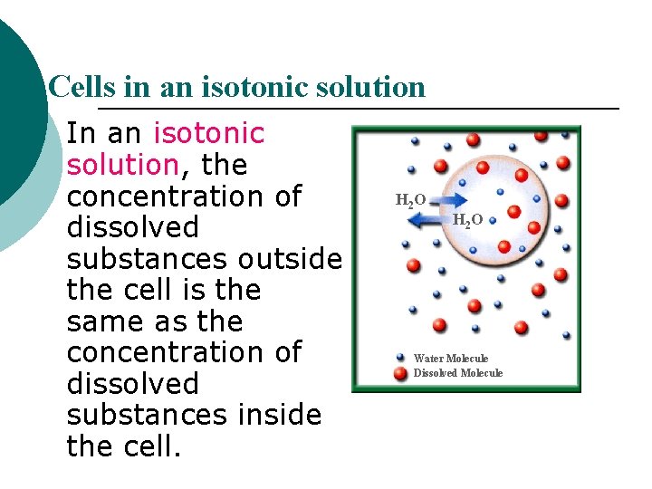 Cells in an isotonic solution In an isotonic solution, the concentration of dissolved substances