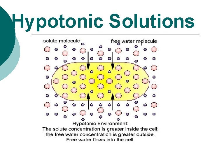 Hypotonic Solutions 