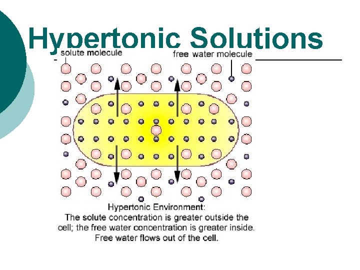 Hypertonic Solutions 