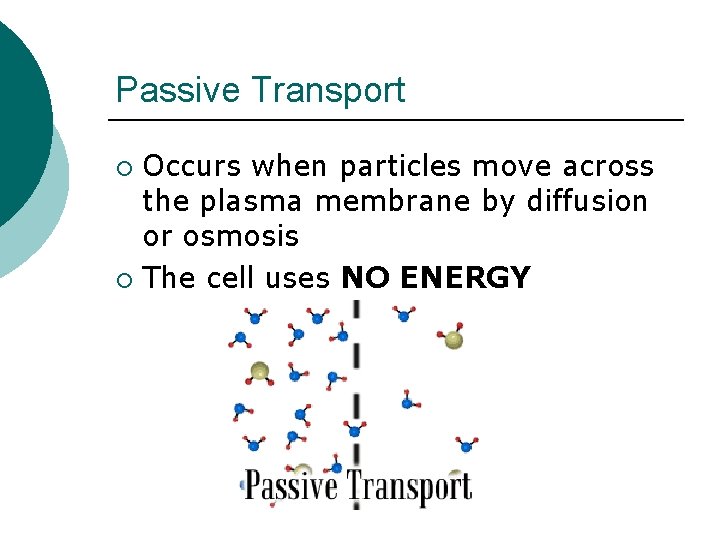 Passive Transport Occurs when particles move across the plasma membrane by diffusion or osmosis