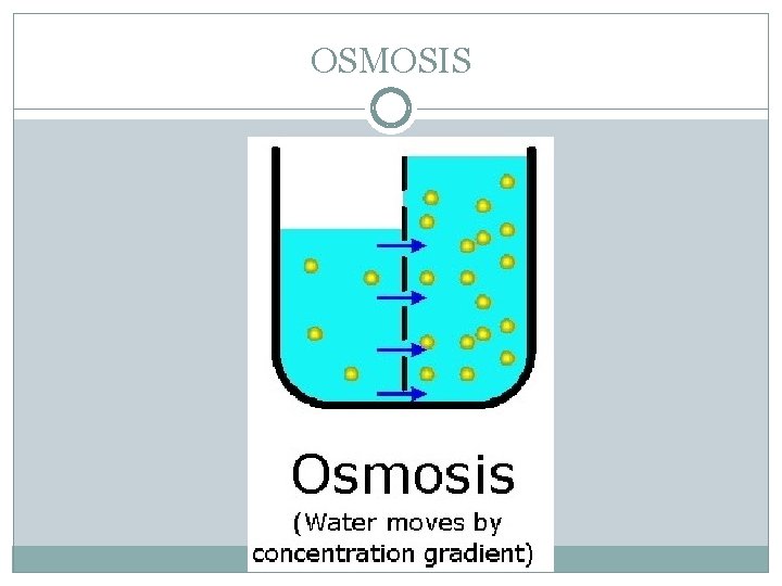 OSMOSIS 