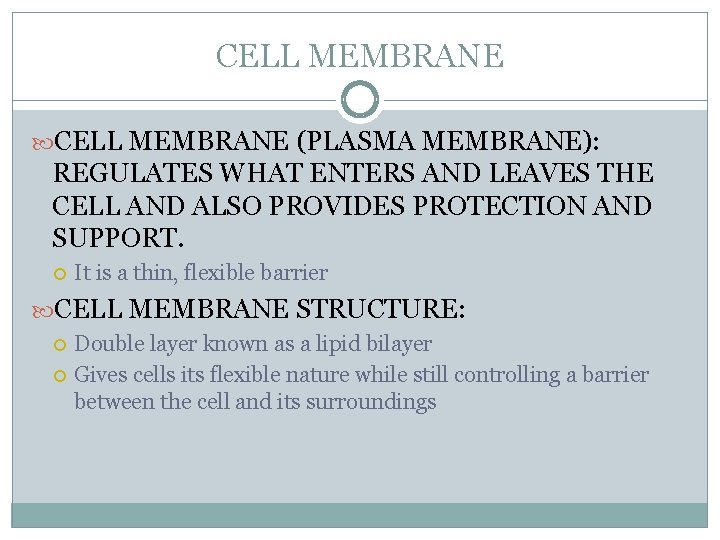 CELL MEMBRANE (PLASMA MEMBRANE): REGULATES WHAT ENTERS AND LEAVES THE CELL AND ALSO PROVIDES