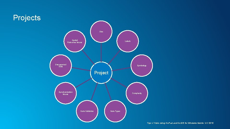 Projects Size Spatial Reference Issues Labels Unsupported Data Symbology Project Synchronization Issues Complexity Data