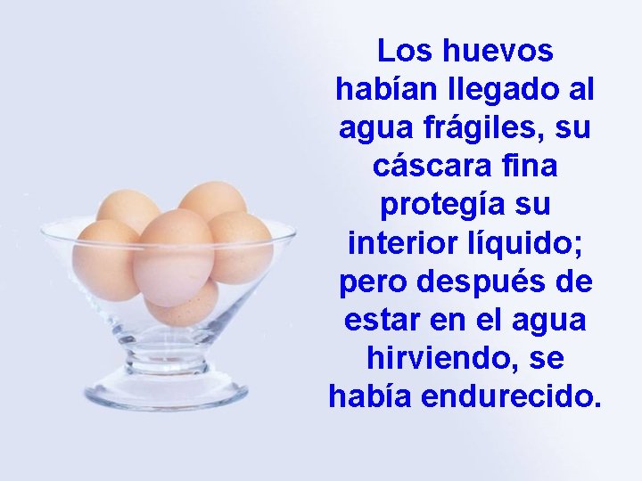 Los huevos habían llegado al agua frágiles, su cáscara fina protegía su interior líquido;