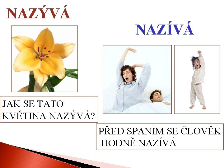 NAZÝVÁ NAZÍVÁ JAK SE TATO KVĚTINA NAZÝVÁ? PŘED SPANÍM SE ČLOVĚK HODNĚ NAZÍVÁ 