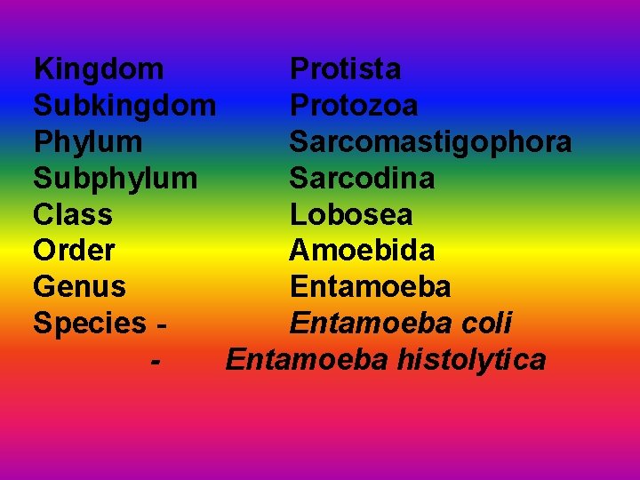 Kingdom Protista Subkingdom Protozoa Phylum Sarcomastigophora Subphylum Sarcodina Class Lobosea Order Amoebida Genus Entamoeba