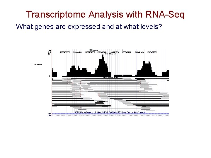 Transcriptome Analysis with RNA-Seq What genes are expressed and at what levels? Transcriptome Analysis with RNA-Seq What genes are expressed and at what levels?