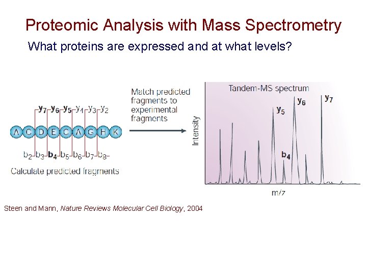 Proteomic Analysis with Mass Spectrometry What proteins are expressed and at what levels? Steen Proteomic Analysis with Mass Spectrometry What proteins are expressed and at what levels? Steen