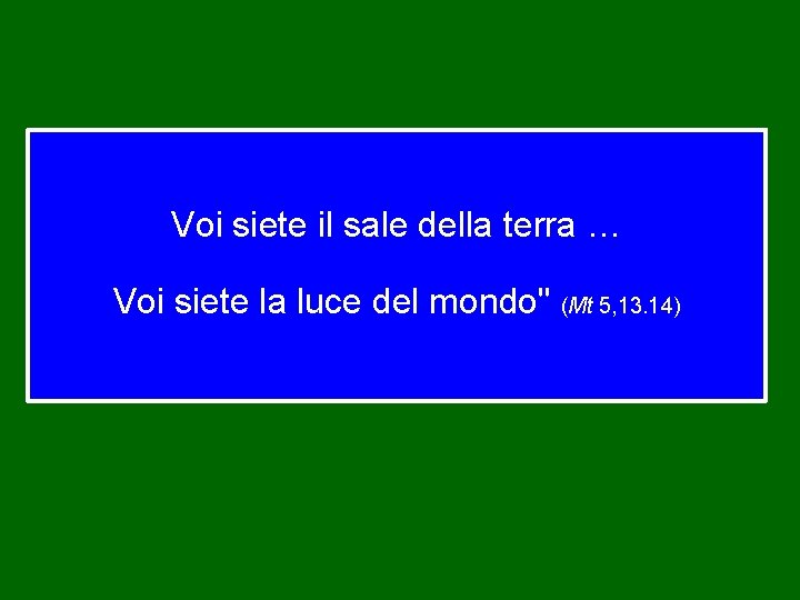 Voi siete il sale della terra … Voi siete la luce del mondo" (Mt