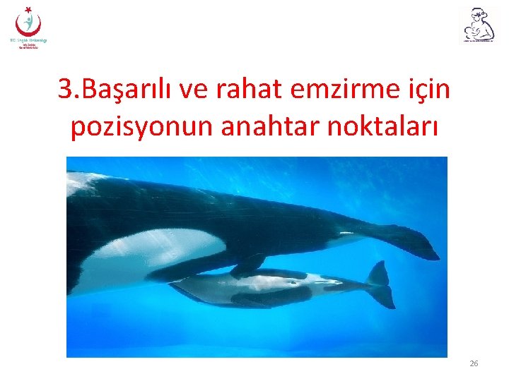 3. Başarılı ve rahat emzirme için pozisyonun anahtar noktaları 26 