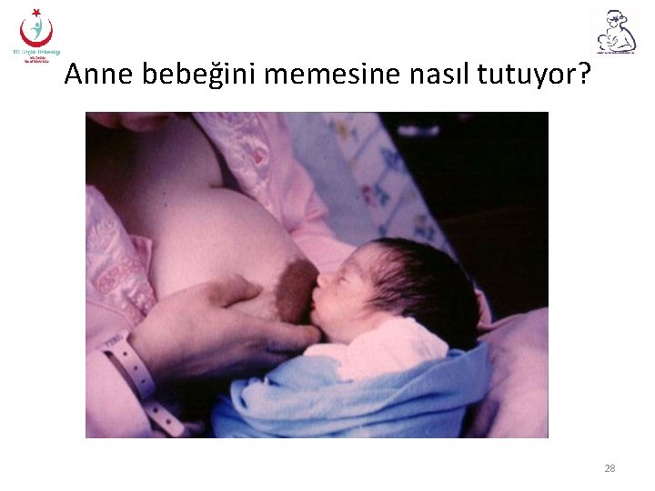 Anne bebeğini memesine nasıl tutuyor? 28 