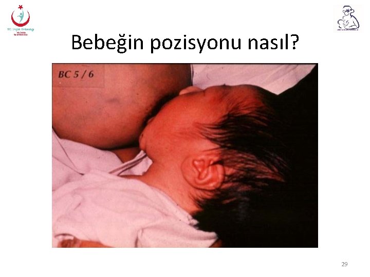 Bebeğin pozisyonu nasıl? 29 