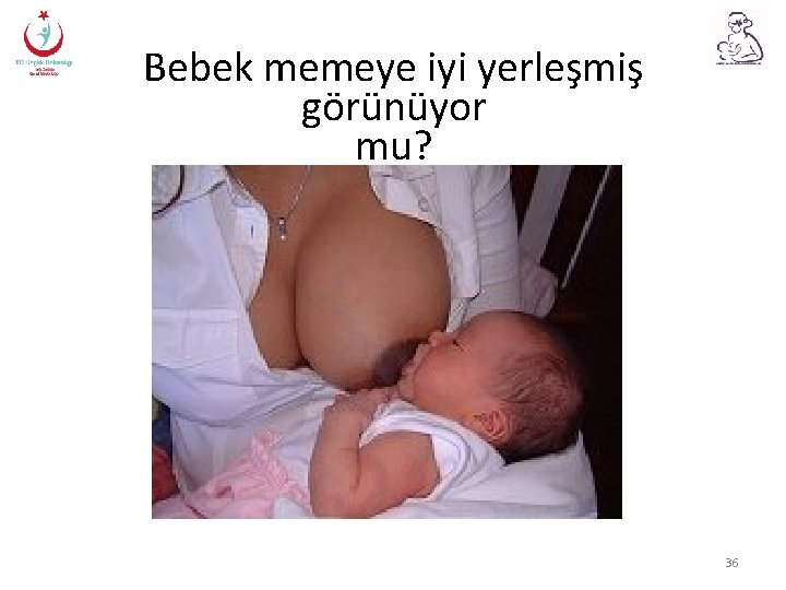 Bebek memeye iyi yerleşmiş görünüyor mu? 36 