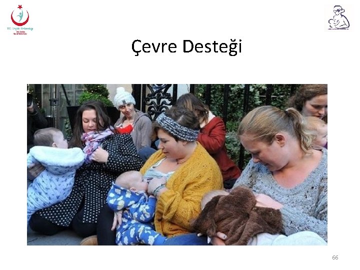 Çevre Desteği 66 