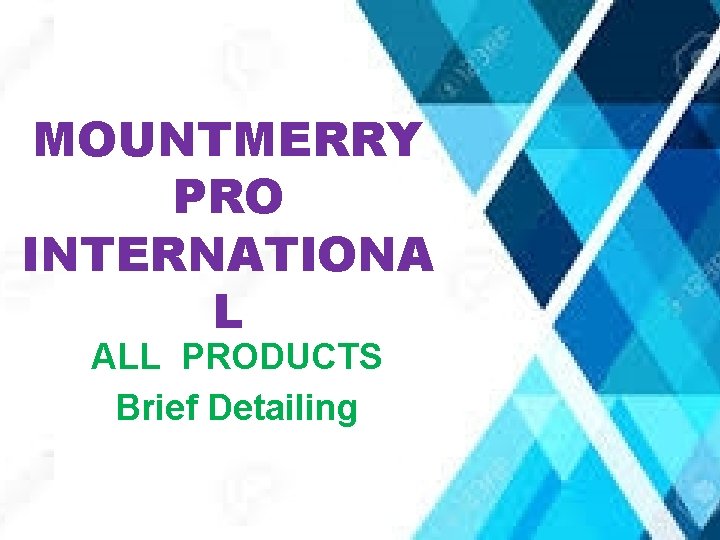 MOUNTMERRY PRO INTERNATIONA L ALL PRODUCTS Brief Detailing 