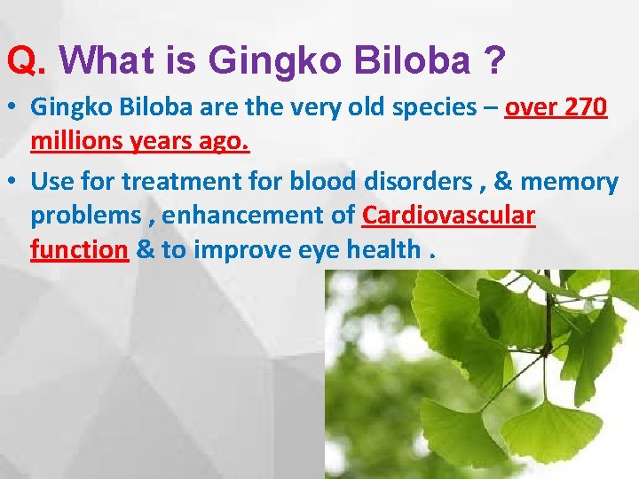 Q. What is Gingko Biloba ? • Gingko Biloba are the very old species