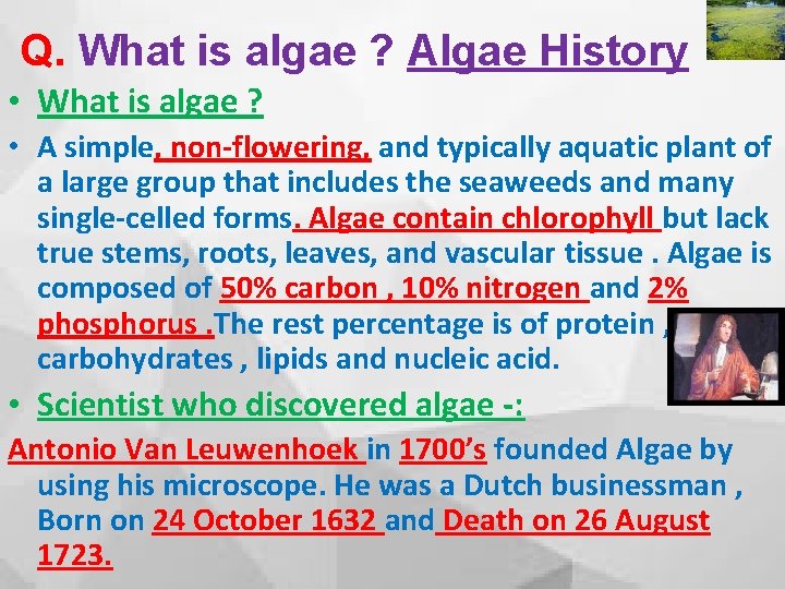 Q. What is algae ? Algae History • What is algae ? • A