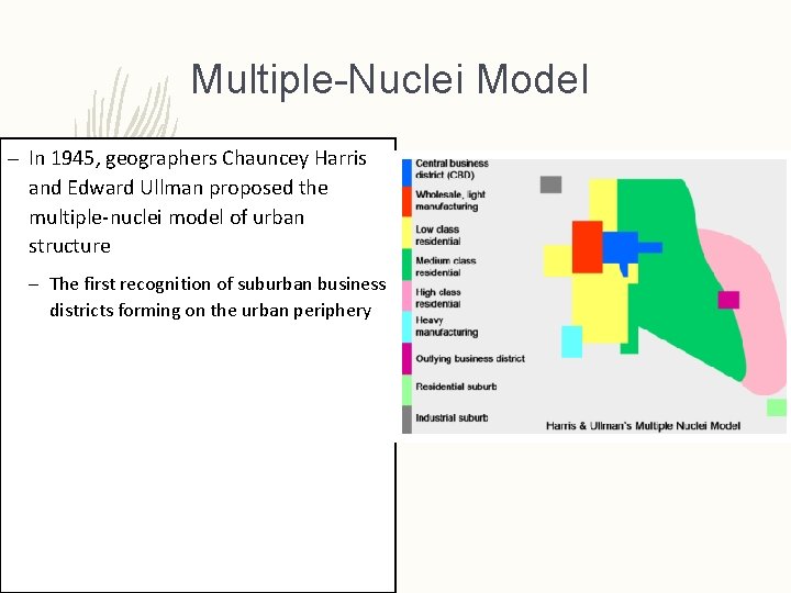 Multiple-Nuclei Model – In 1945, geographers Chauncey Harris and Edward Ullman proposed the multiple-nuclei