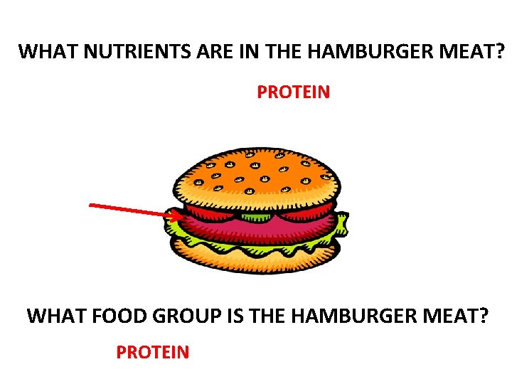 WHAT NUTRIENTS ARE IN THE HAMBURGER MEAT? PROTEIN WHAT FOOD GROUP IS THE HAMBURGER