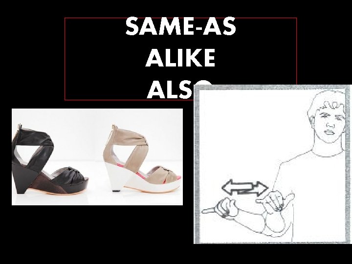 SAME-AS ALIKE ALSO 