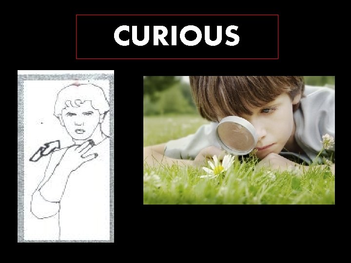 CURIOUS 