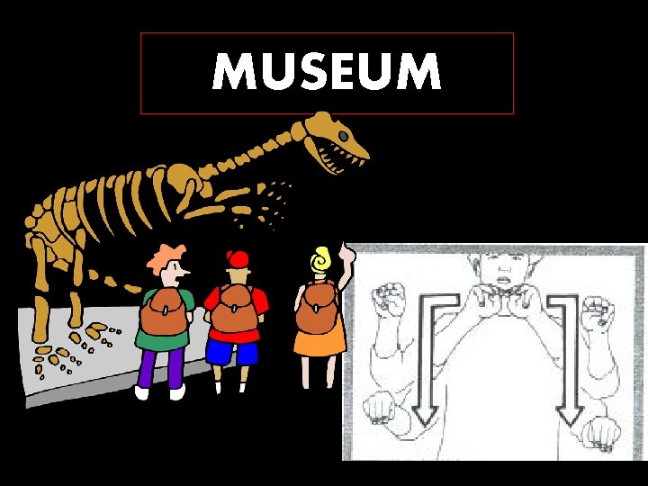 MUSEUM 