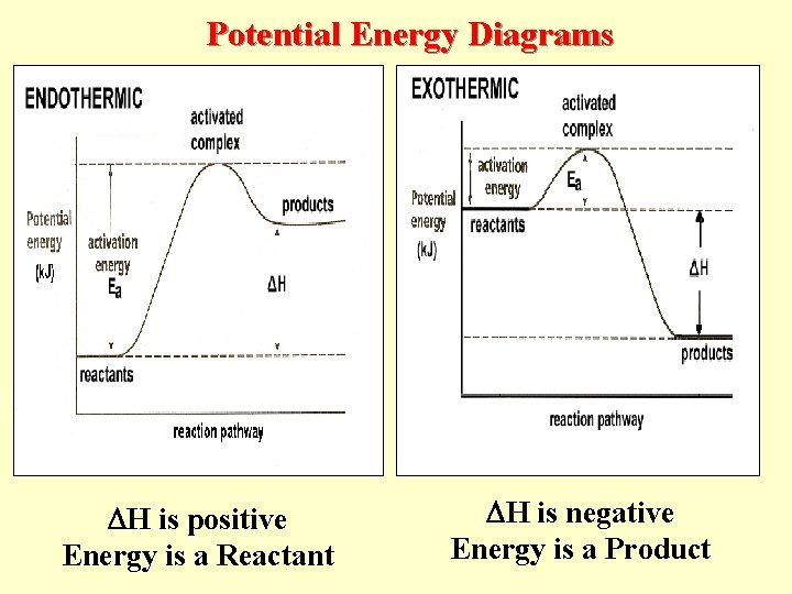 Potential Energy Diagrams H is positive Energy is a Reactant H is negative Energy