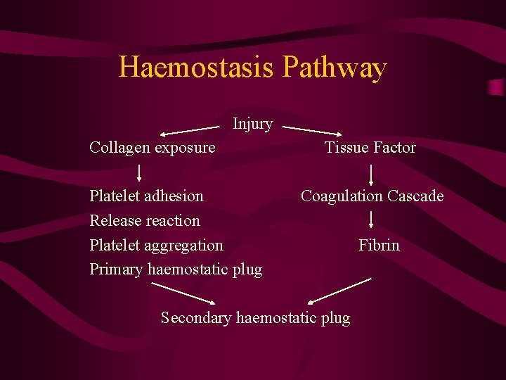 Haemostasis Pathway Injury Collagen exposure Platelet adhesion Release reaction Platelet aggregation Primary haemostatic plug