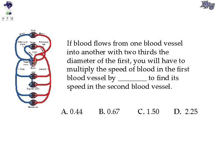 If blood flows from one blood vessel into another with two thirds the diameter