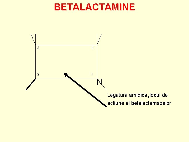 BETALACTAMINE 3 4 2 1 N , Legatura amidica locul de actiune al betalactamazelor