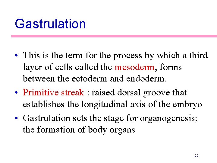 Gastrulation • This is the term for the process by which a third layer