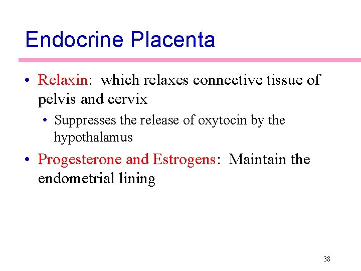 Endocrine Placenta • Relaxin: which relaxes connective tissue of pelvis and cervix • Suppresses