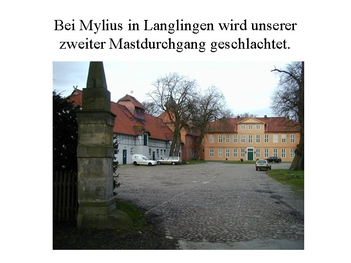 Bei Mylius in Langlingen wird unserer zweiter Mastdurchgang geschlachtet. 
