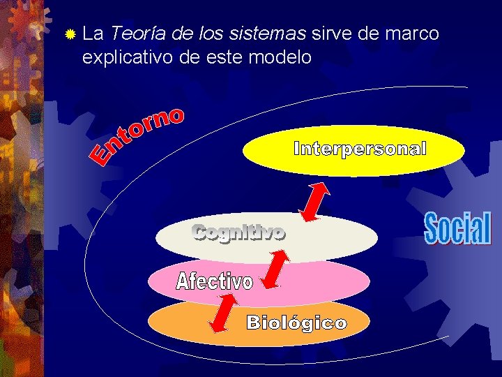 ® La Teoría de los sistemas sirve de marco explicativo de este modelo 