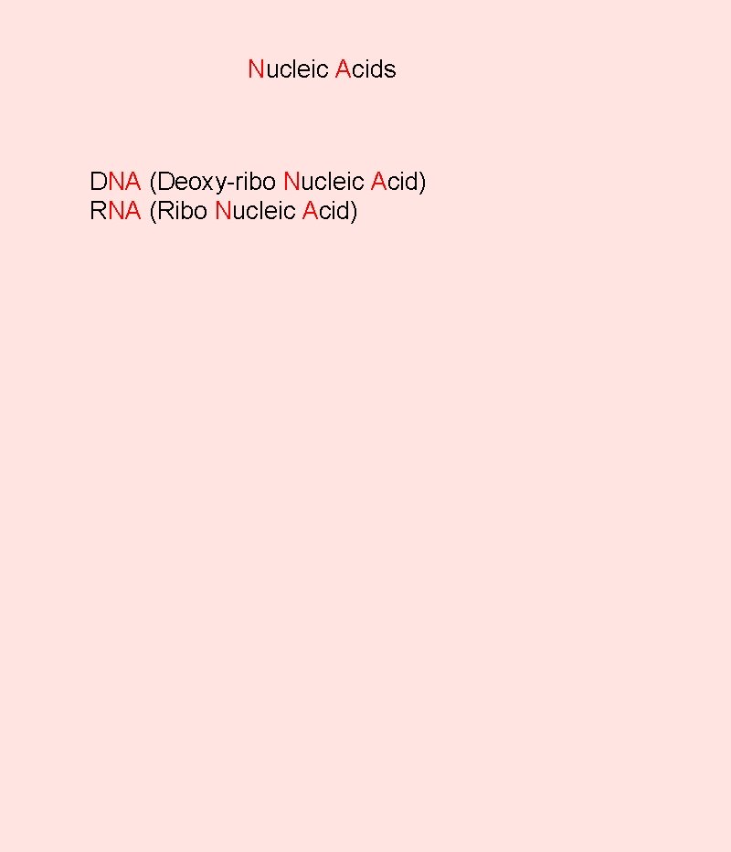 Nucleic Acids DNA (Deoxy-ribo Nucleic Acid) RNA (Ribo Nucleic Acid) 