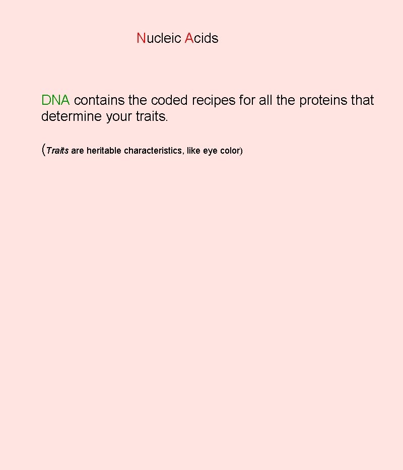 Nucleic Acids DNA contains the coded recipes for all the proteins that determine your