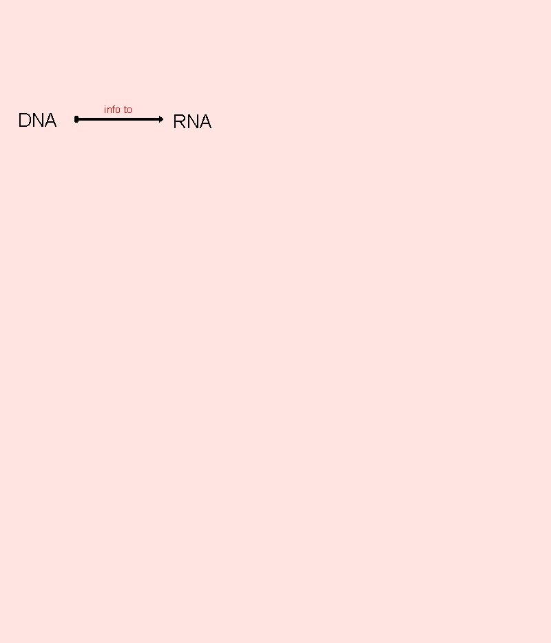 DNA info to RNA 