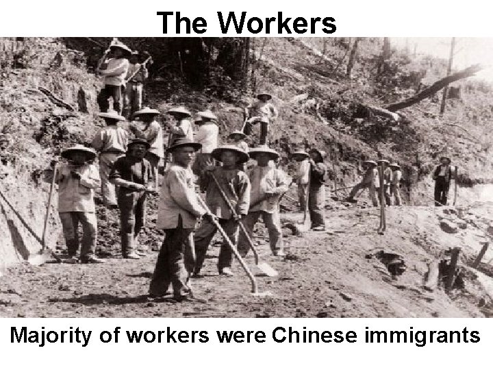 The Workers Majority of workers were Chinese immigrants 