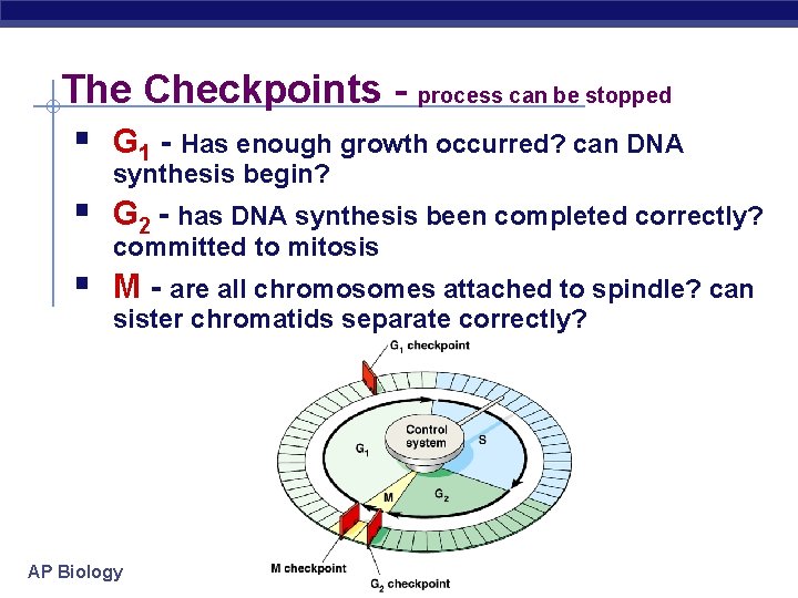 The Checkpoints - process can be stopped § G 1 - Has enough growth