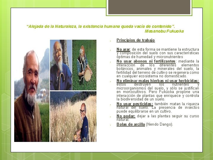 “Alejada de la Naturaleza, la existencia humana queda vacía de contenido”. Masanobu Fukuoka l