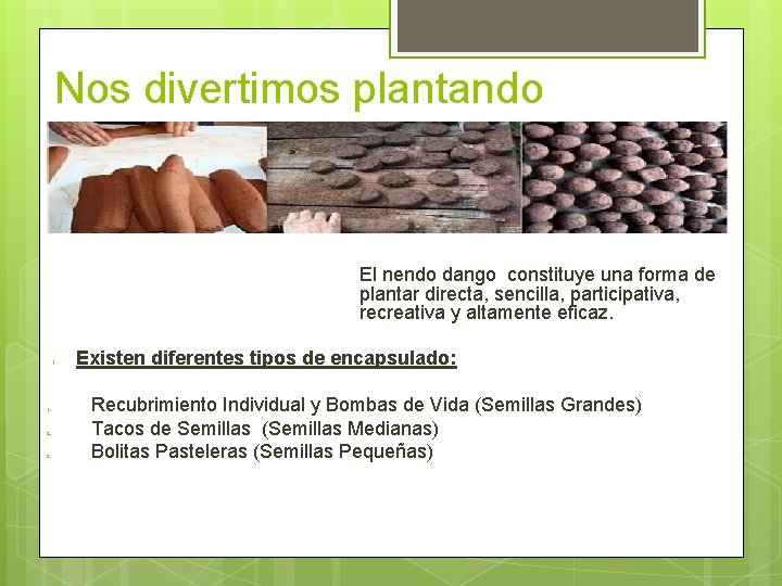 Nos divertimos plantando El nendo dango constituye una forma de plantar directa, sencilla, participativa,