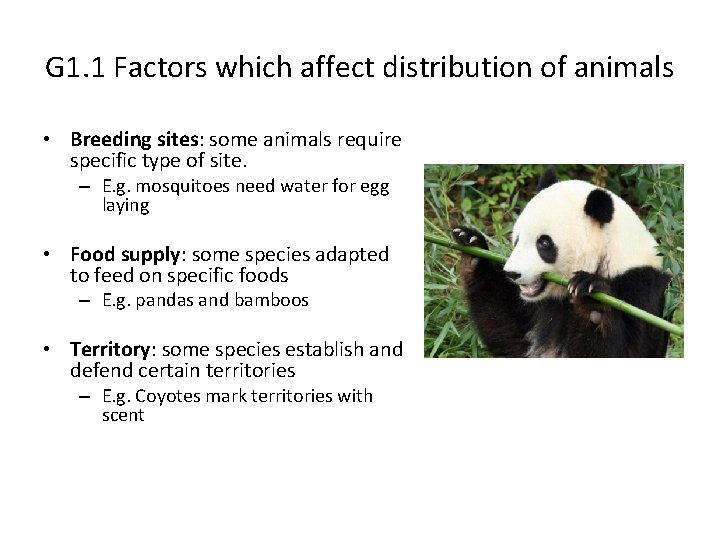 G 1. 1 Factors which affect distribution of animals • Breeding sites: some animals
