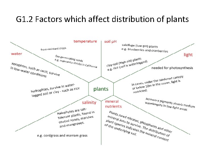 G 1. 2 Factors which affect distribution of plants 