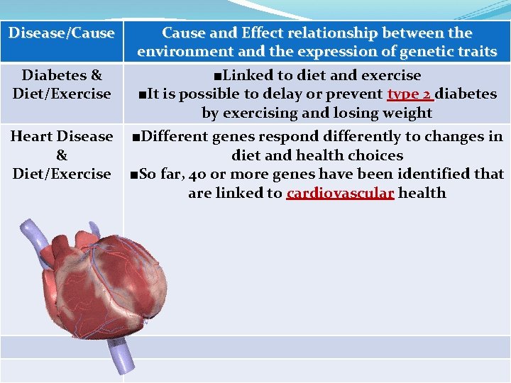 Disease/Cause and Effect relationship between the environment and the expression of genetic traits Diabetes