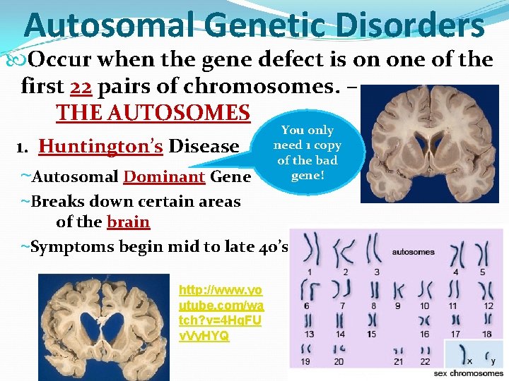 Autosomal Genetic Disorders Occur when the gene defect is on one of the first