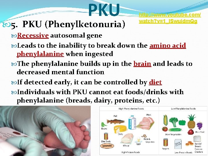 PKU 5. PKU (Phenylketonuria) http: //www. youtube. com/ watch? v=1_l. Swuidm. Qg Recessive autosomal