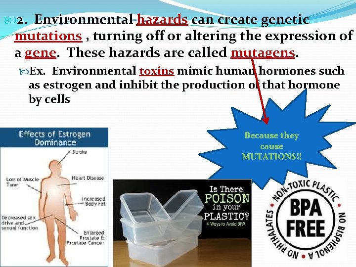  2. Environmental hazards can create genetic mutations , turning off or altering the